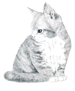 �������