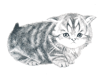 �Ƃ��Ƃ�����